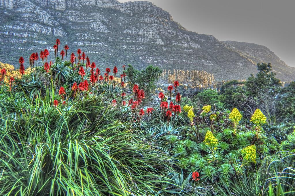 Kairos Lodge Hout Bay Eksteriør billede
